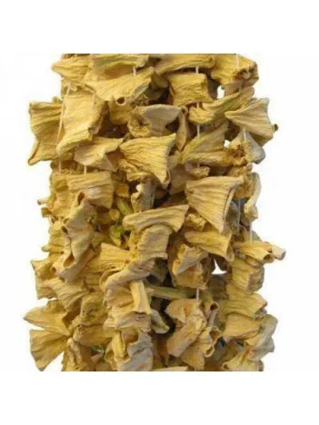 Kuru Bilecik Biberi Dz 100 Lü Dz Fiyatı Kuru Bilecik Biberi Dz 100 Lü Dz Fiyatı