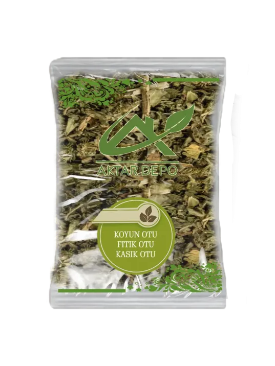 Koyun Otu (fıtık Otu-kasık Otu)