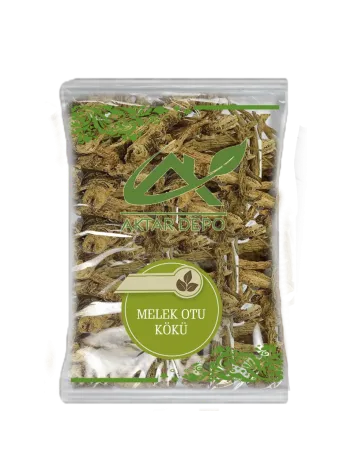 Melek Otu Kökü