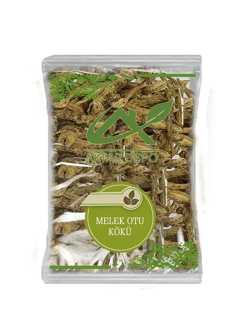 Melek Otu Kökü