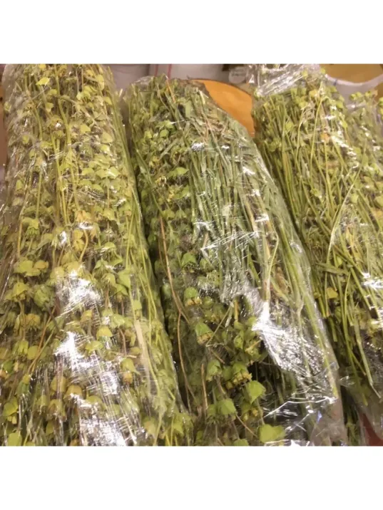 Dağ Melisa Otu Demet