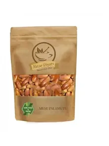 Meşe Palamutu