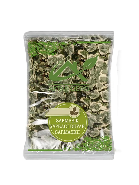 Sarmaşık Yaprağı (duvar Sarmaşığı)