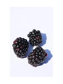 Böğürtlen Meyvesi 500 GR