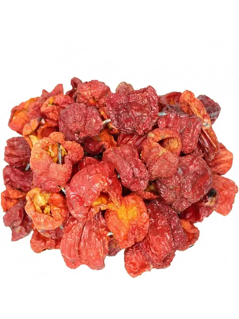 Antep Kuru Biber Dolma  20 Li (iadesiz)