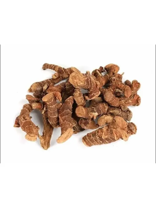 Havlıcan Tane Çin Orjinal