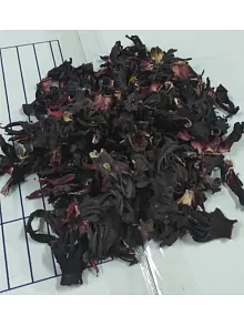 Hibisküs
