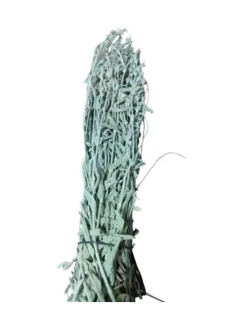 Adaçayı Bozdağ Adaçayı Bozdağ