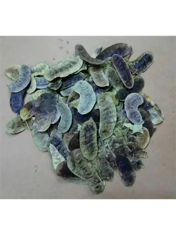 Aşlık Otu-açlık Otu 500 GR