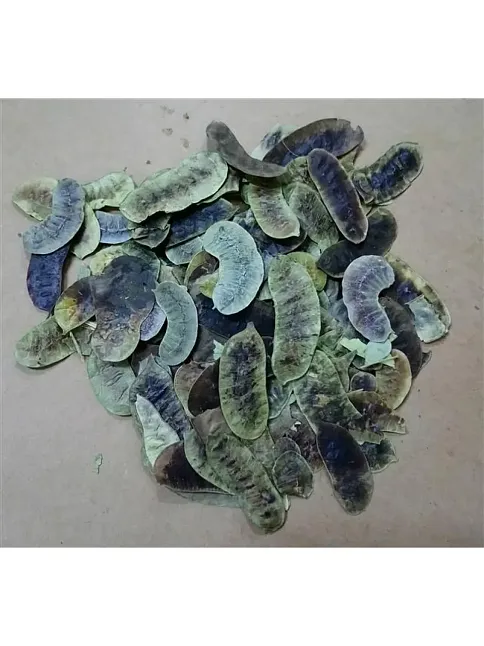 Aşlık Otu-açlık Otu 100 GR