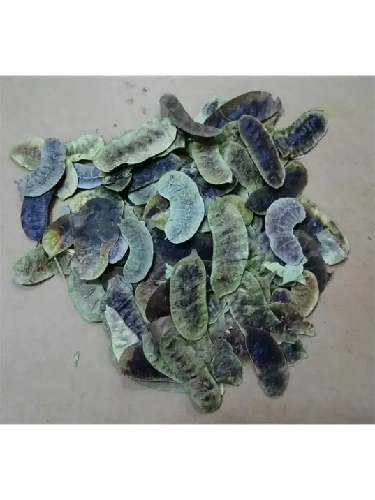 Aşlık Otu-açlık Otu