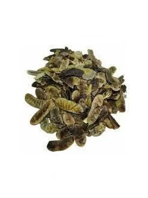 Aşlık Otu-açlık Otu Öğütülmüş 250 GR