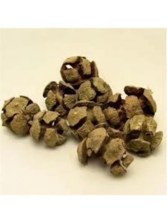 Selvi Kozalak Selvi Kozalak