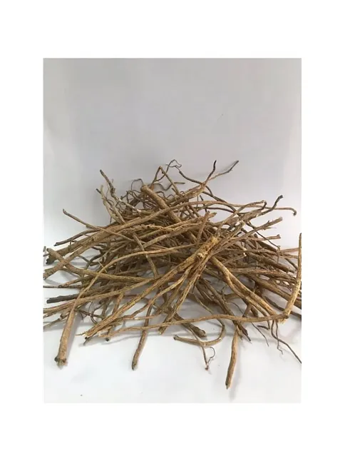 Çin Geveni-astragalus 100 GR