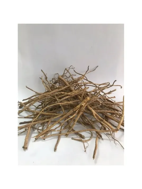 Çin Geveni-astragalus