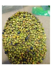 Acı Çehre Meyvesi Yeşil 500 GR