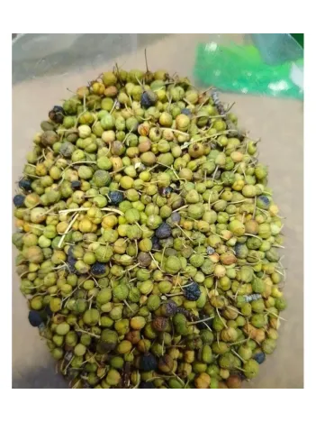 Acı Çehre Meyvesi Yeşil