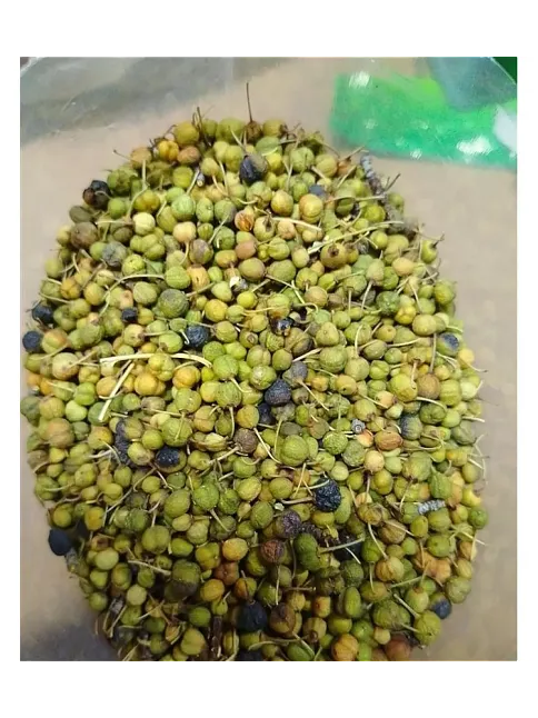 Acı Çehre Meyvesi Yeşil 100 GR