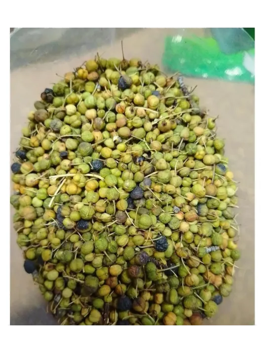 Acı Çehre Meyvesi Yeşil