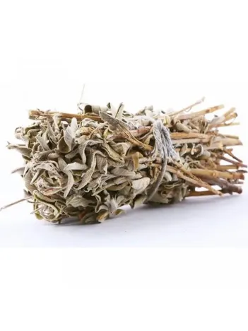 Adaçayı Demet Kg Kültür Adaçayı Demet Kg Kültür