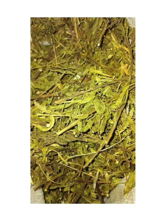 Yapışkan Andız Otu