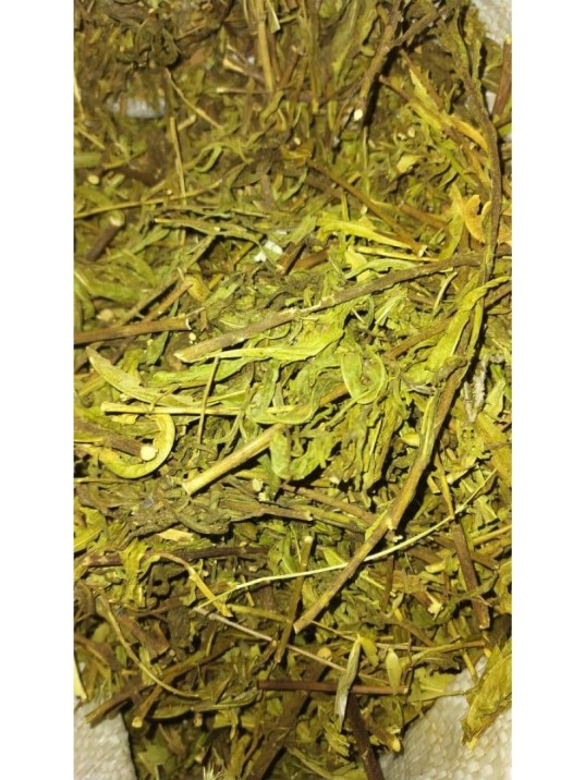 Yapışkan Andız Otu Yapışkan Andız Otu