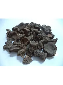 Andız Kökü (rizom) 500 GR