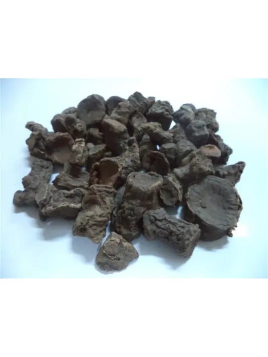 Andız Kökü (rizom) 500 GR Andız Kökü (rizom) 500 GR