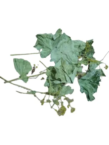 Aslan Pençesi 500 GR