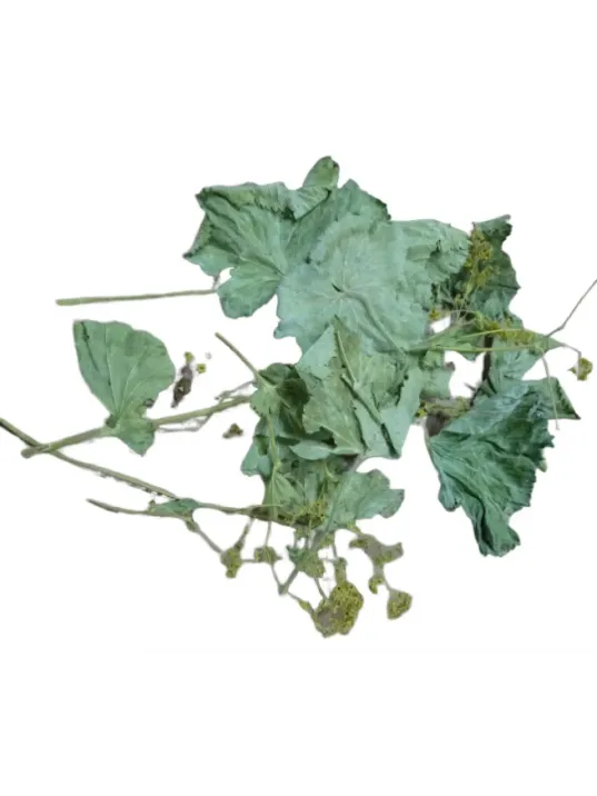 Aslan Pençesi 500 GR Aslan Pençesi 500 GR