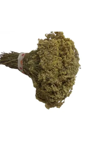 Ayvadana Demet(civanperçemi)