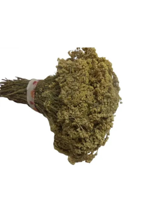 Ayvadana Demet(civanperçemi)