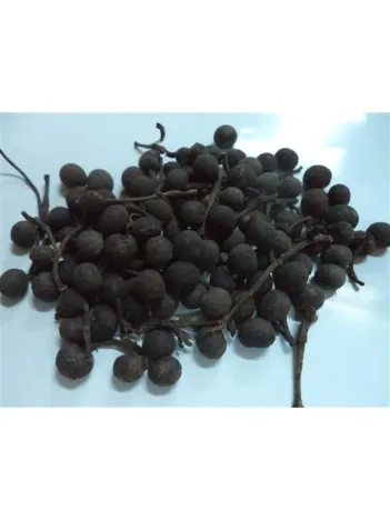 Balık Otu 500 GR