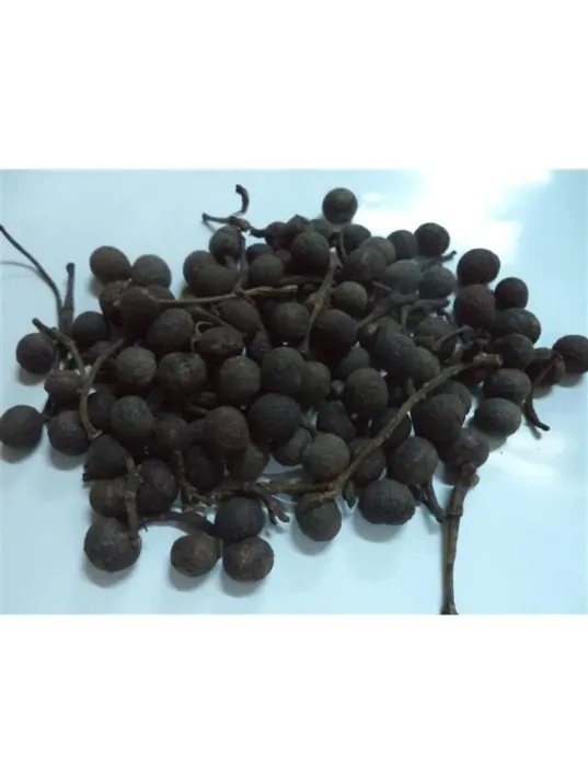 Balık Otu 100 GR