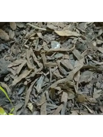 Yaprak Buhur-amber Kabuğu 500 GR