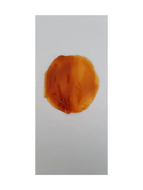 Çam Akması-çiğnemelik Çam Sakızı