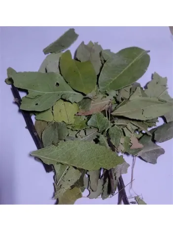 Dağ Çileği-kocayemiş Yaprağı Granül