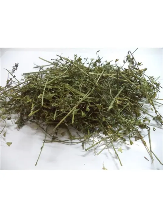 Çoban Çantası-çemberotu-civelek