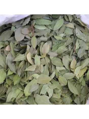 Defne Yaprağı 1. 500 GR