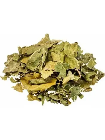 Dut Yaprağı 500 GR