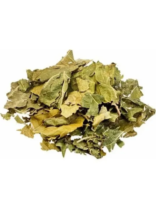 Dut Yaprağı 500 GR