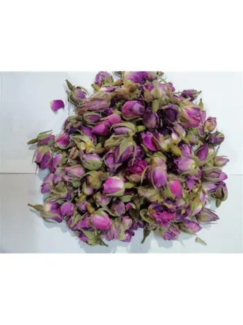 Gül Kurusu Pembe Tomurcuk Gül Kurusu Pembe Tomurcuk