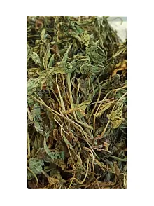 Karahindiba-taraxacum Officinale