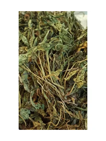 Karahindiba-taraxacum Officinale