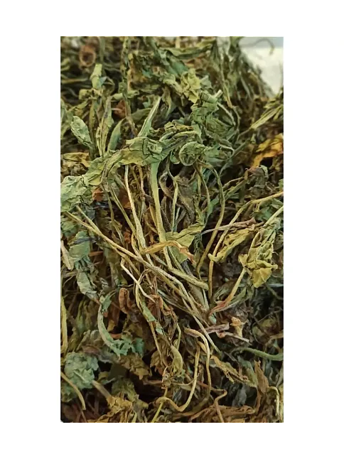 Karahindiba-taraxacum Officinale
