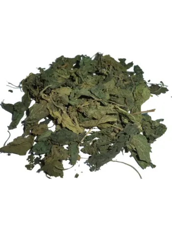 Isırgan Otu Yaprağı