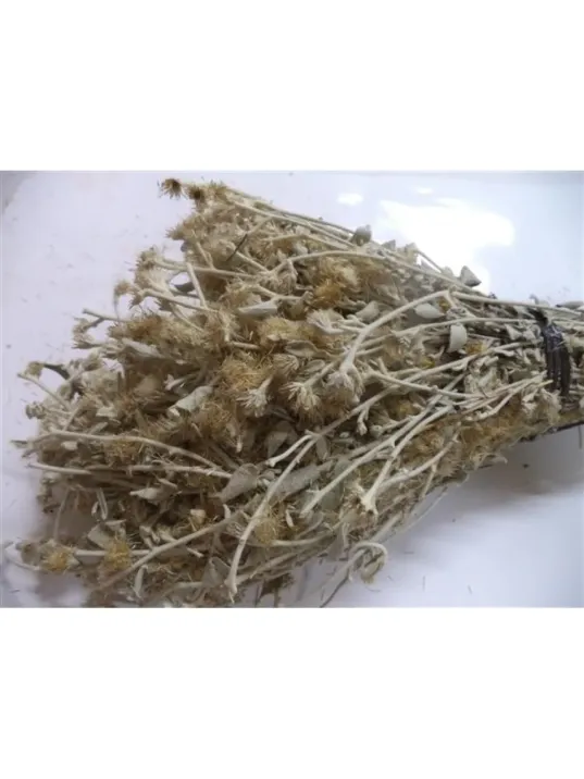 Kaya Oğul Otu Demet