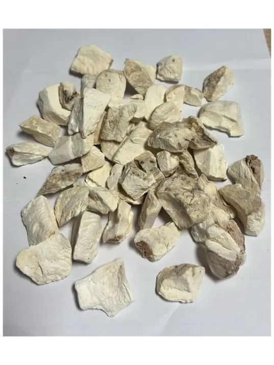 Yılan Burçağı-gavur Pancarı Kökü