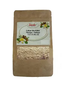 Sanita Çakşır Otu Kökü 50 Gr.