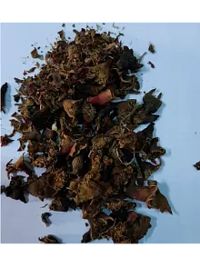 Nar Çiçeği